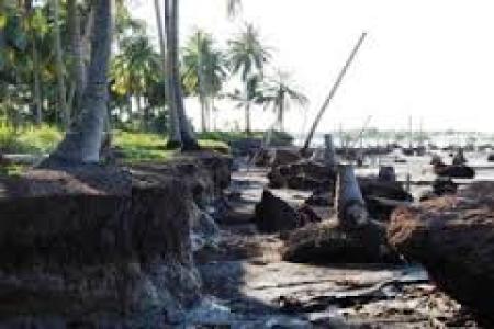 Badan Lingkungan Hidup Bengkalis libatkan Masyarakat Tanam Bakau lindungi Pantai